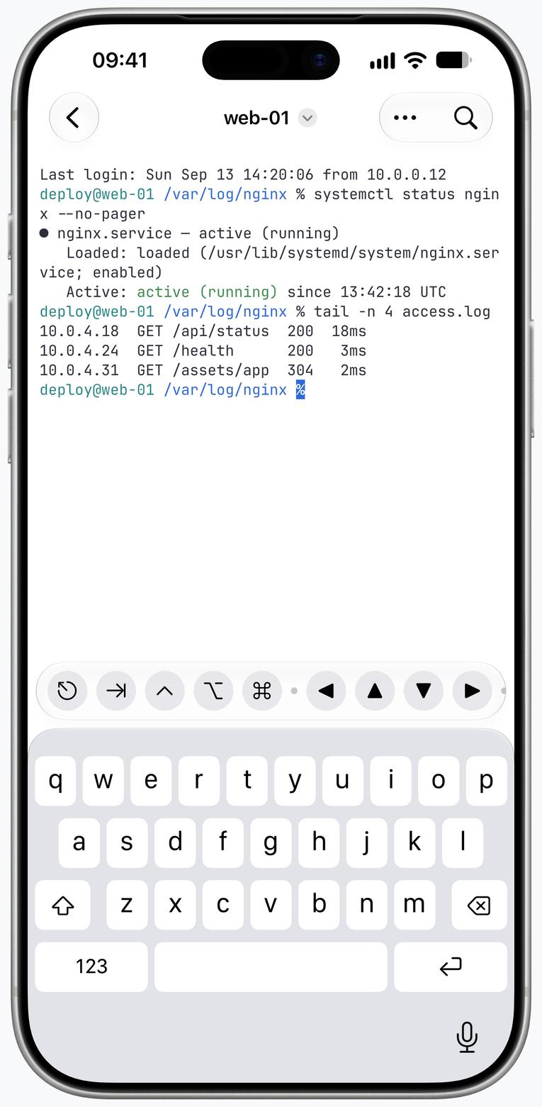 SSH terminal with production service output on iPhone