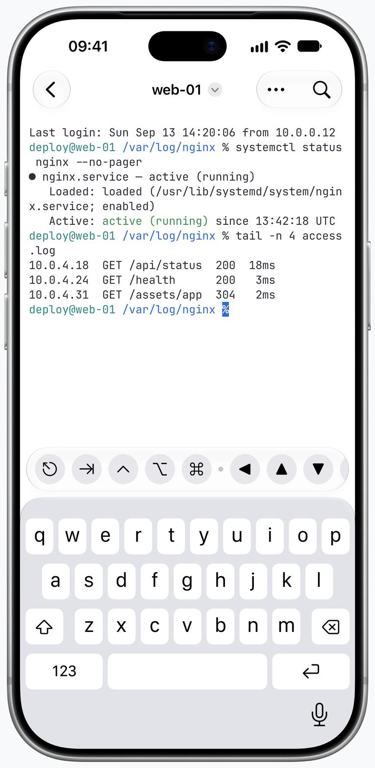 SSH terminal with production service output on iPhone